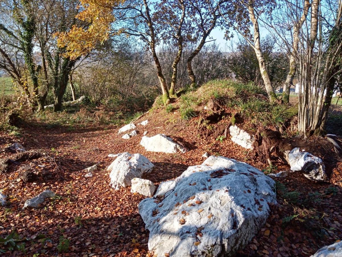 Le Rocher Du Samoyede Dirinon Екстериор снимка