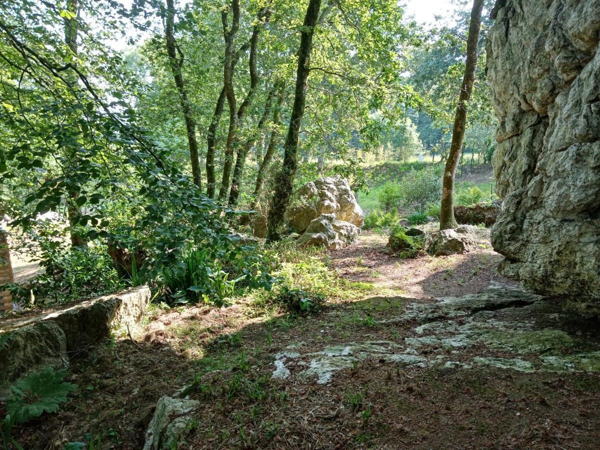 Le Rocher Du Samoyede Dirinon Екстериор снимка