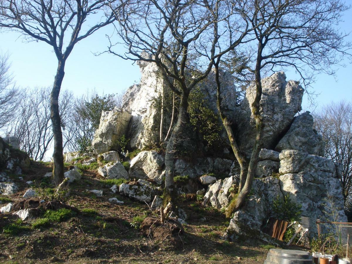 Le Rocher Du Samoyede Dirinon Екстериор снимка